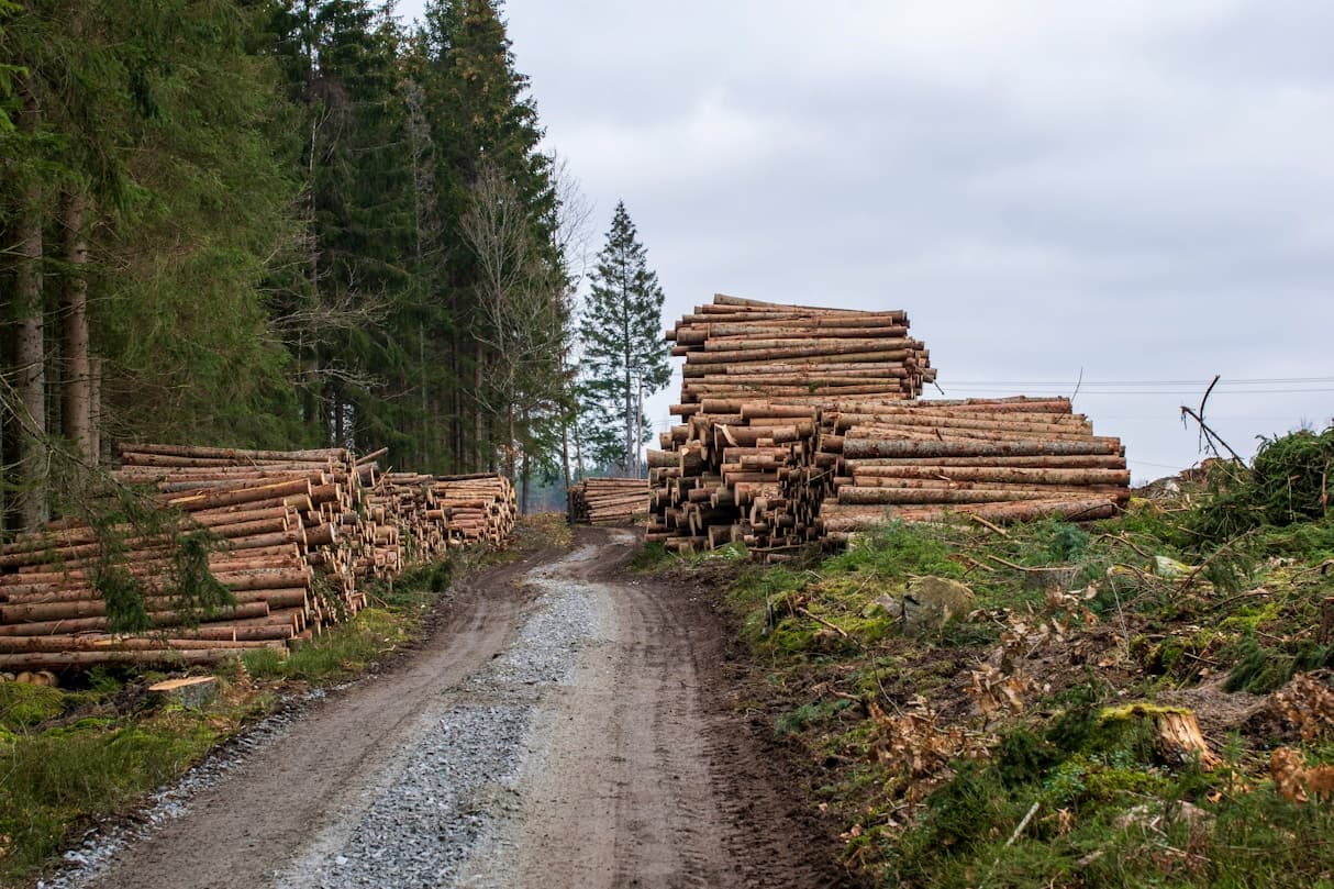 f1836752094332fdf1d9003954854e78f7dda639