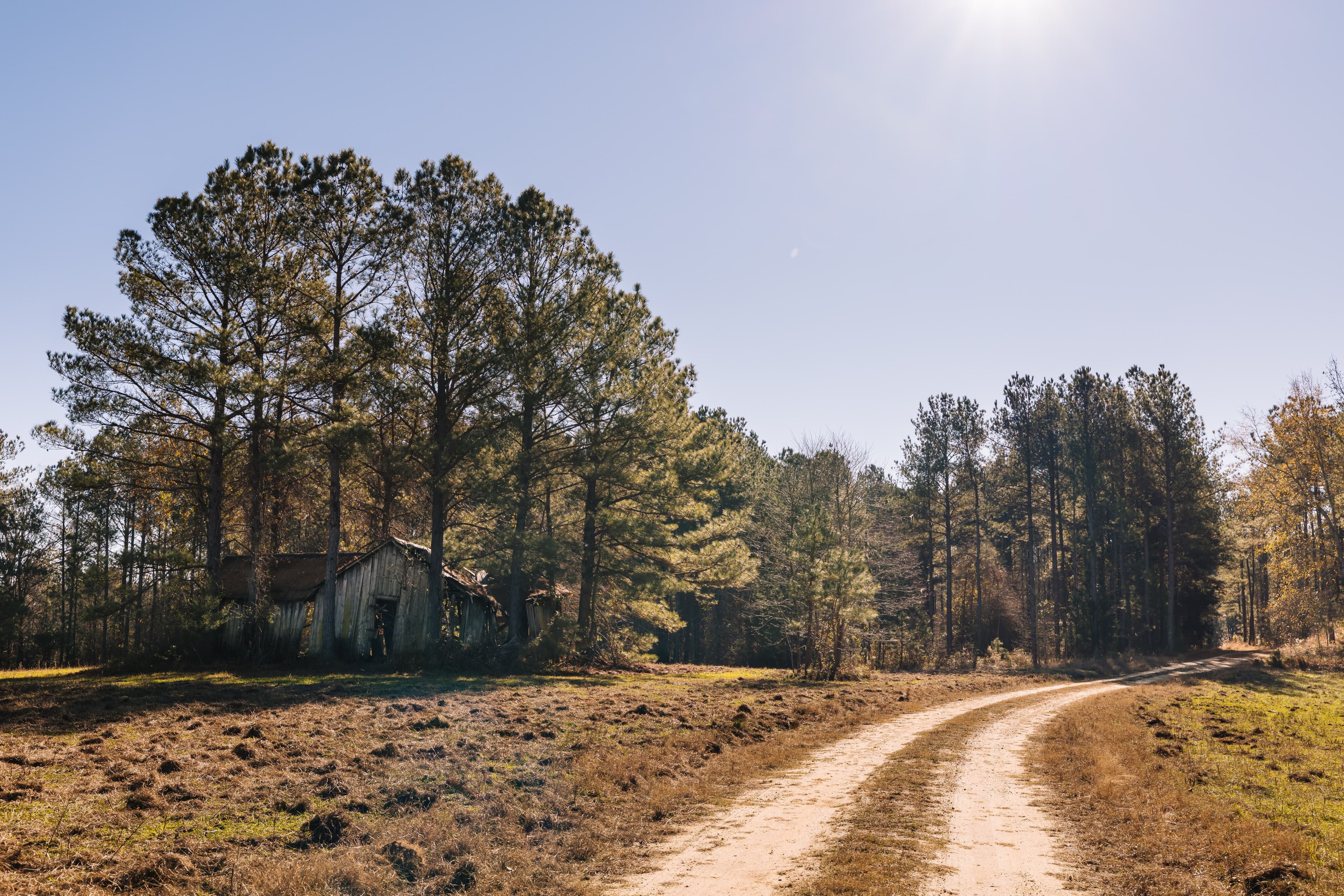 Discovery & Feasibility